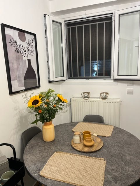 Apartment Egaleo, 1 bed — photo 8