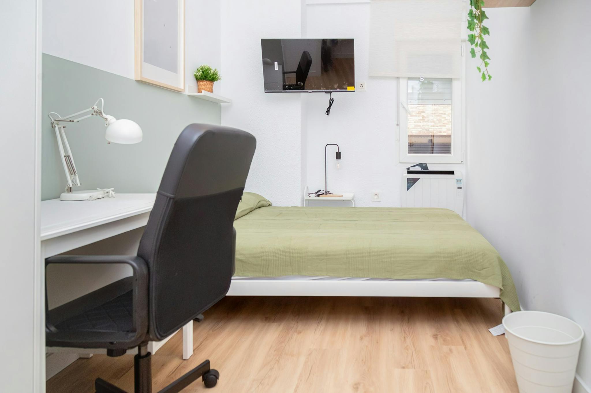 Calle de Don Pedro de Luna, Zaragoza preview