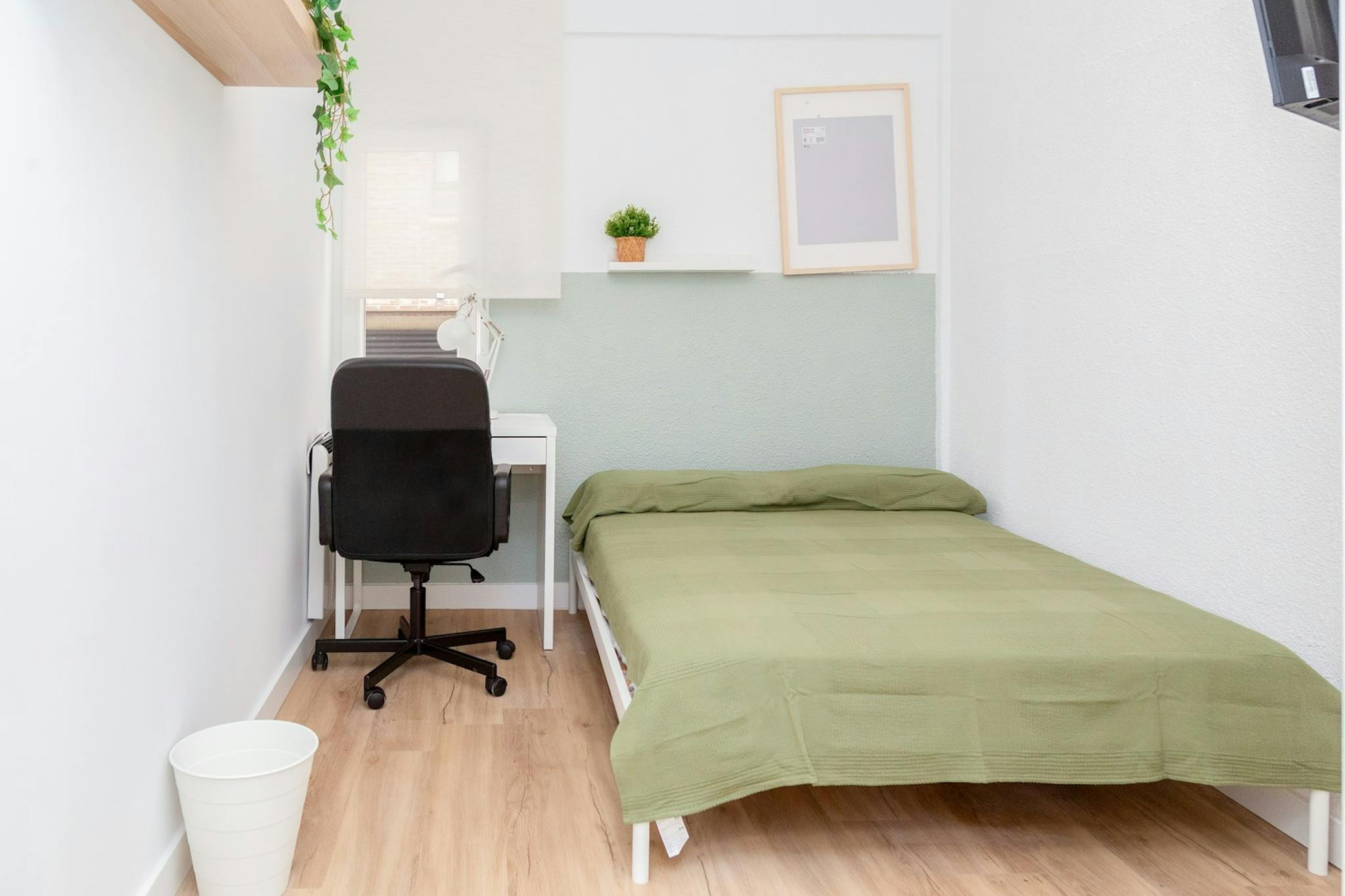 Calle de Don Pedro de Luna, Zaragoza preview