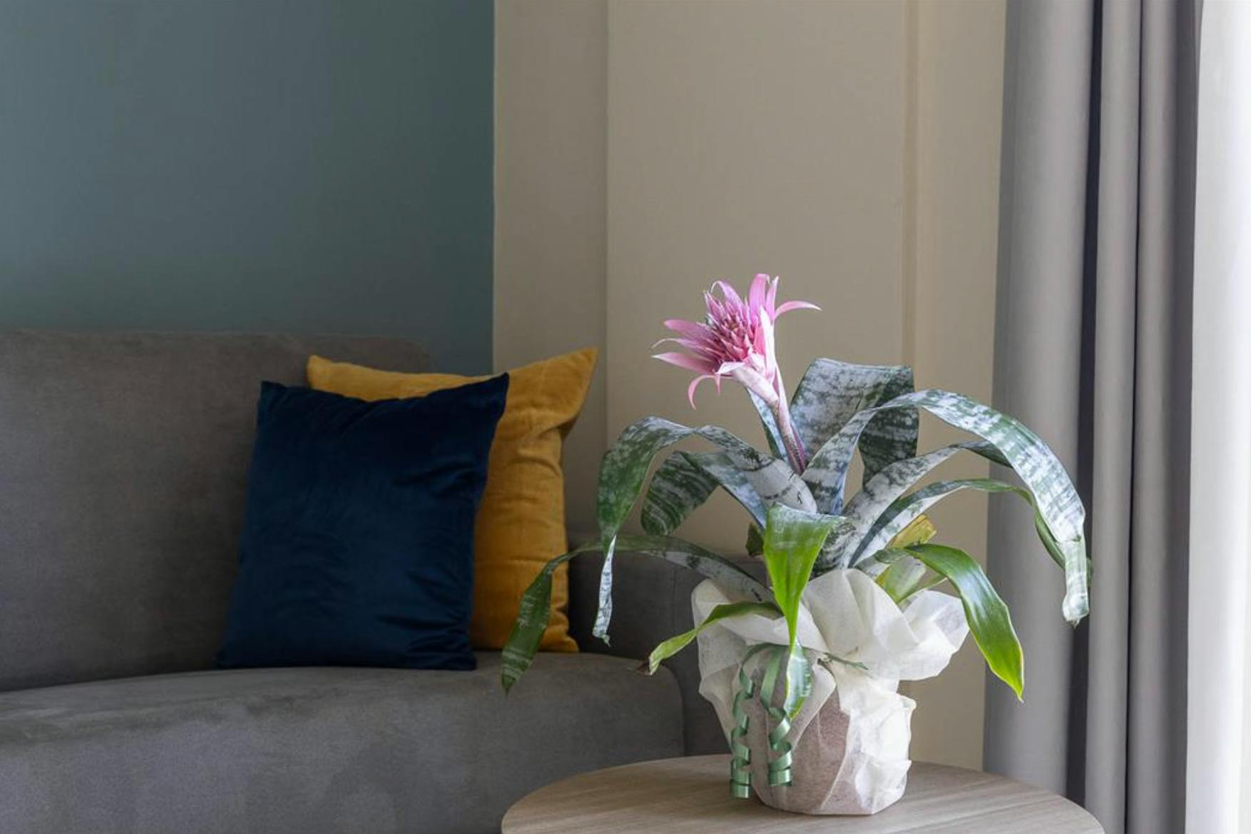 Apartment San Rocco A Pilli — photo 10