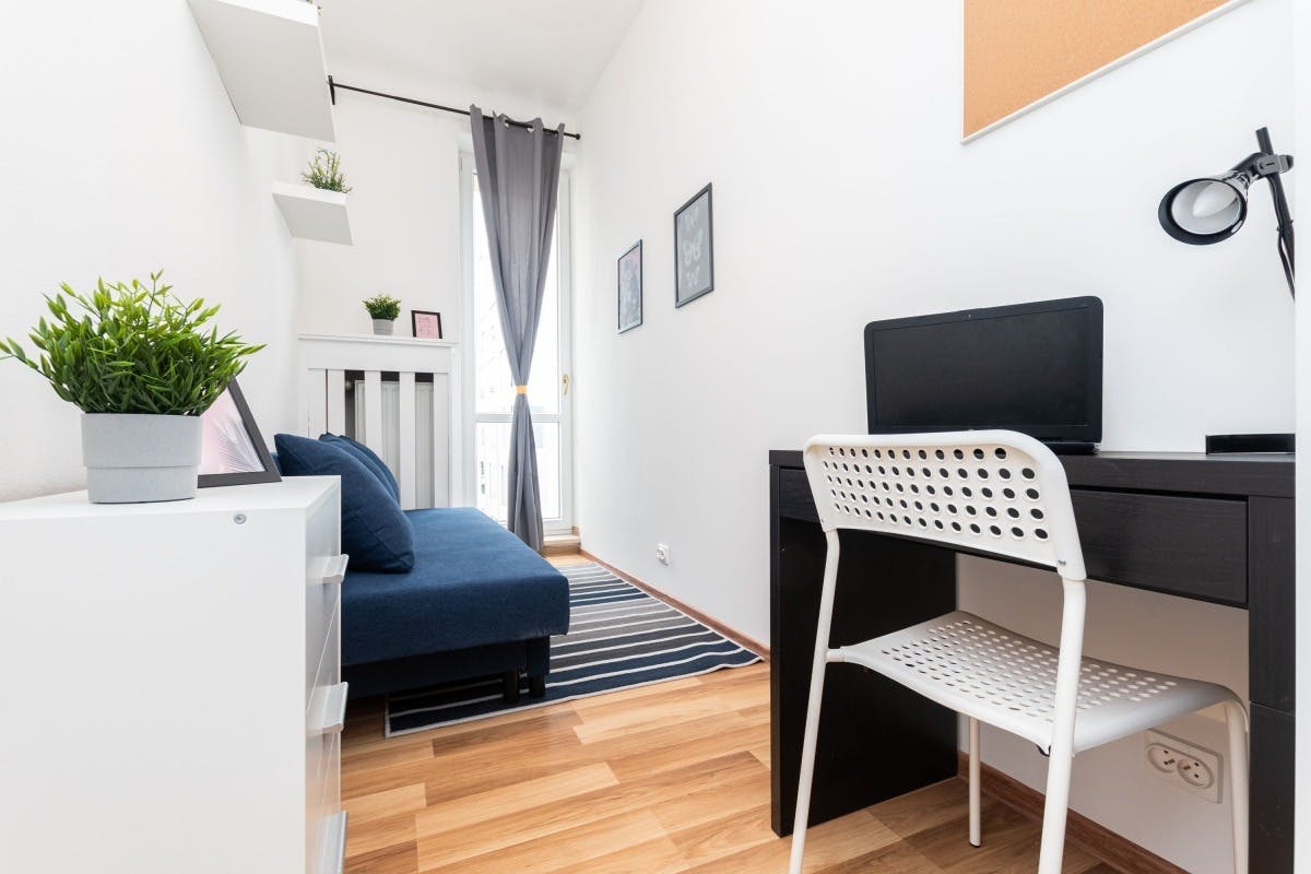 Krucza, Warsaw preview