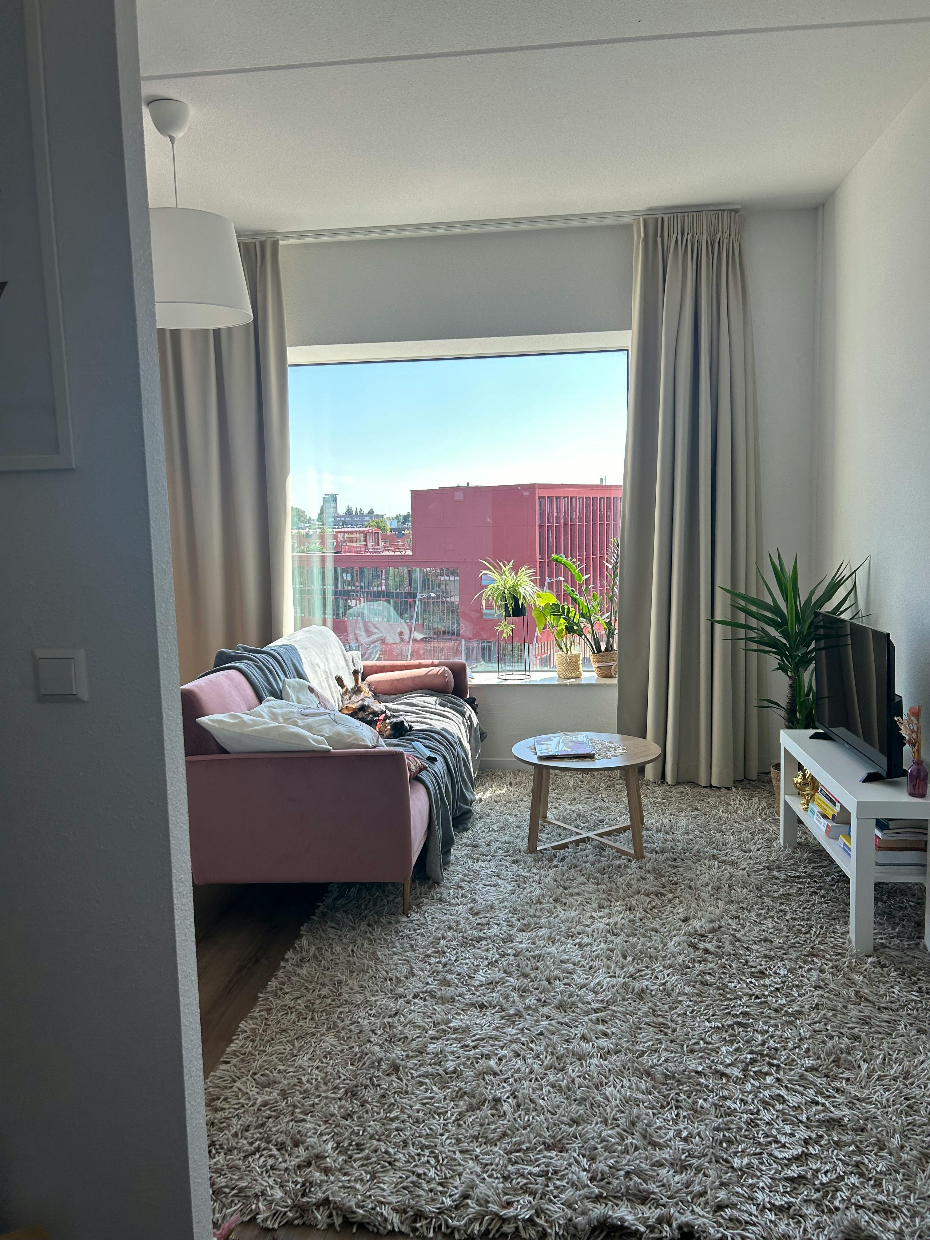 Studio aan Panamalaan, Amsterdam