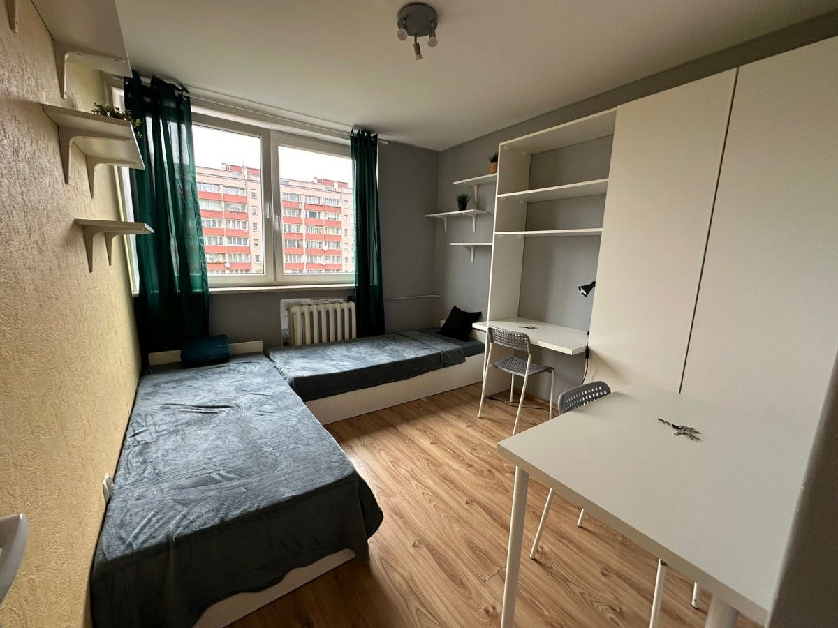 Oskara Langego, Warsaw preview