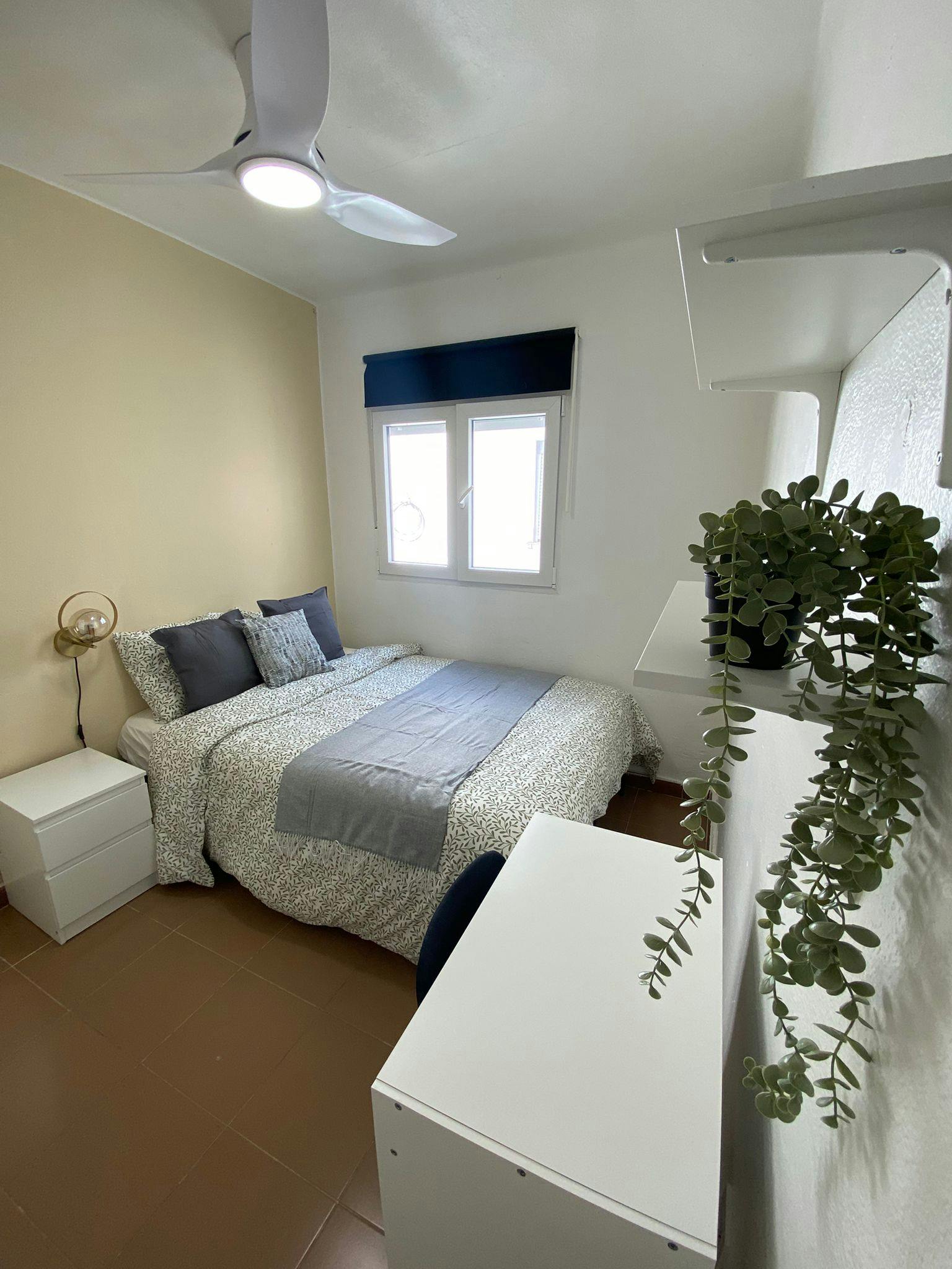 Single room Xirivella, 1 bed, 5m² — photo 5