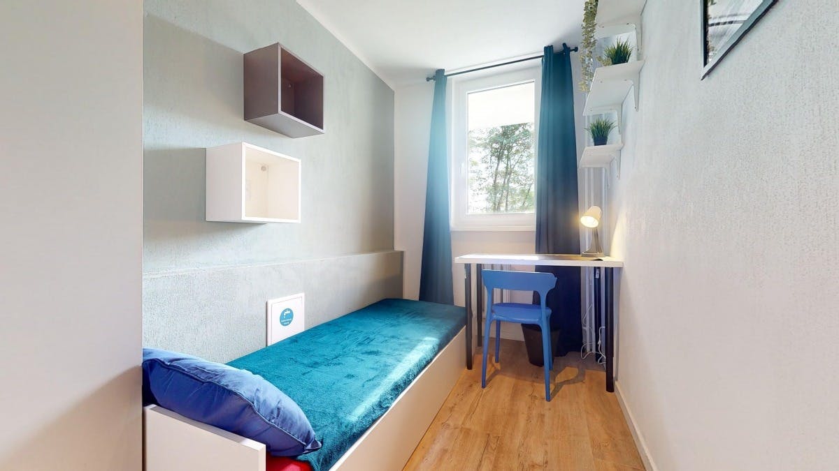 Marca Polo, Warsaw preview