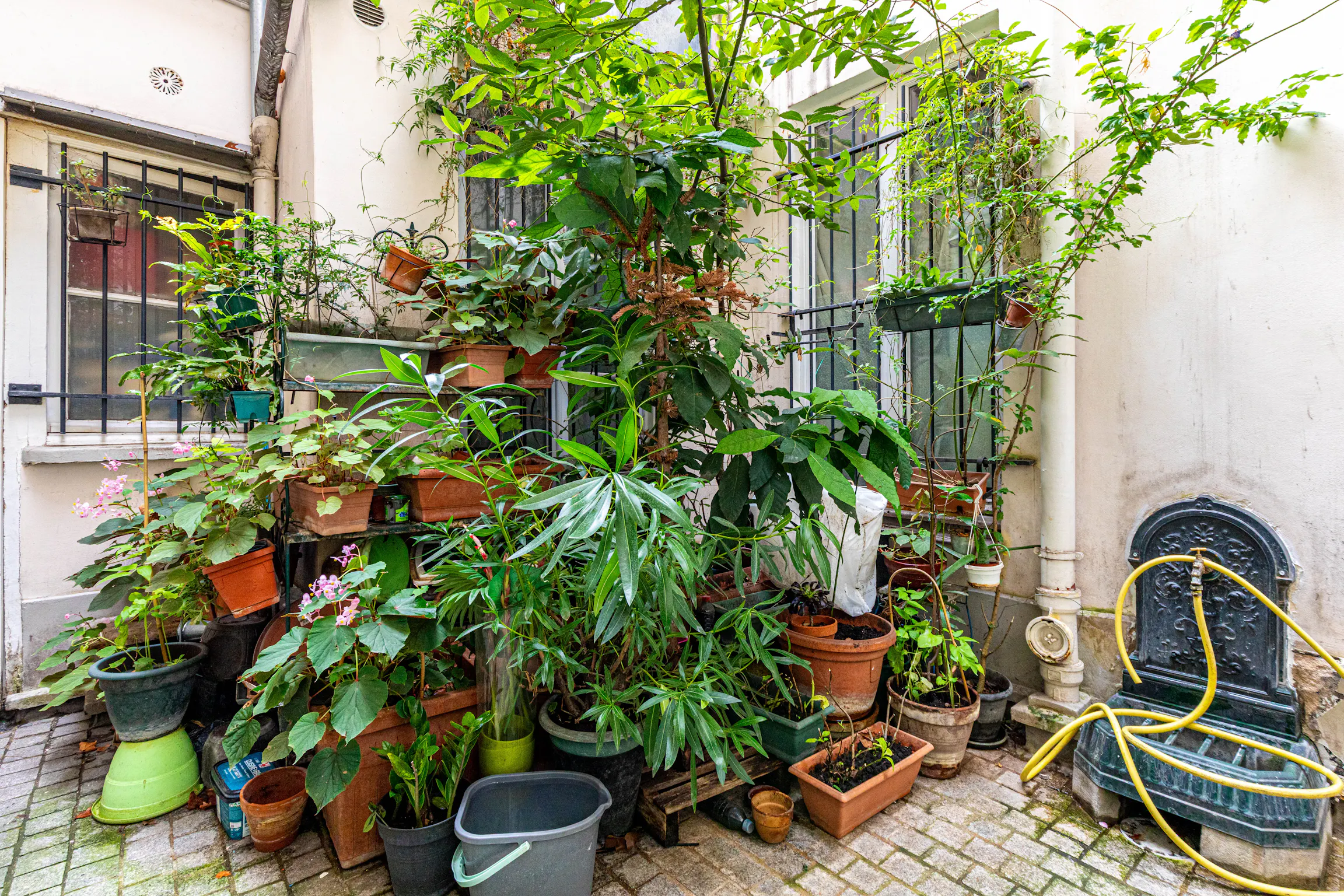 1-Bedroom Apartment in Boulevard Voltaire, Paris (1659917) ROOM 4