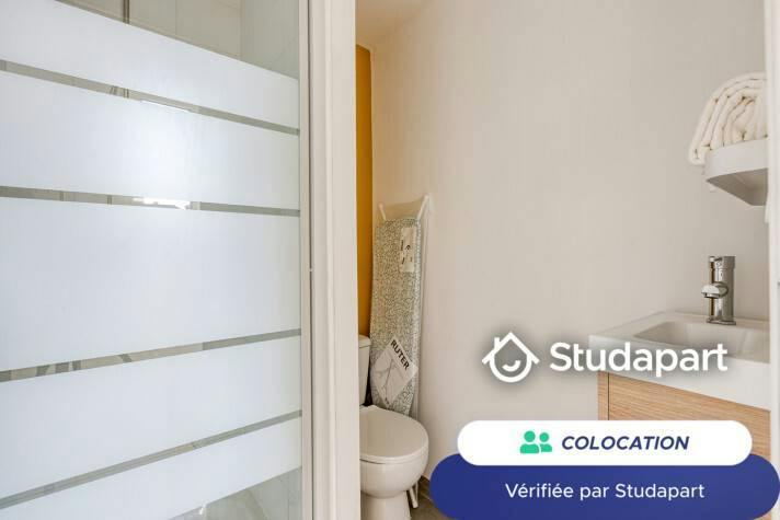 Private room for rent on Rue de Lannoy, Lille - Plus