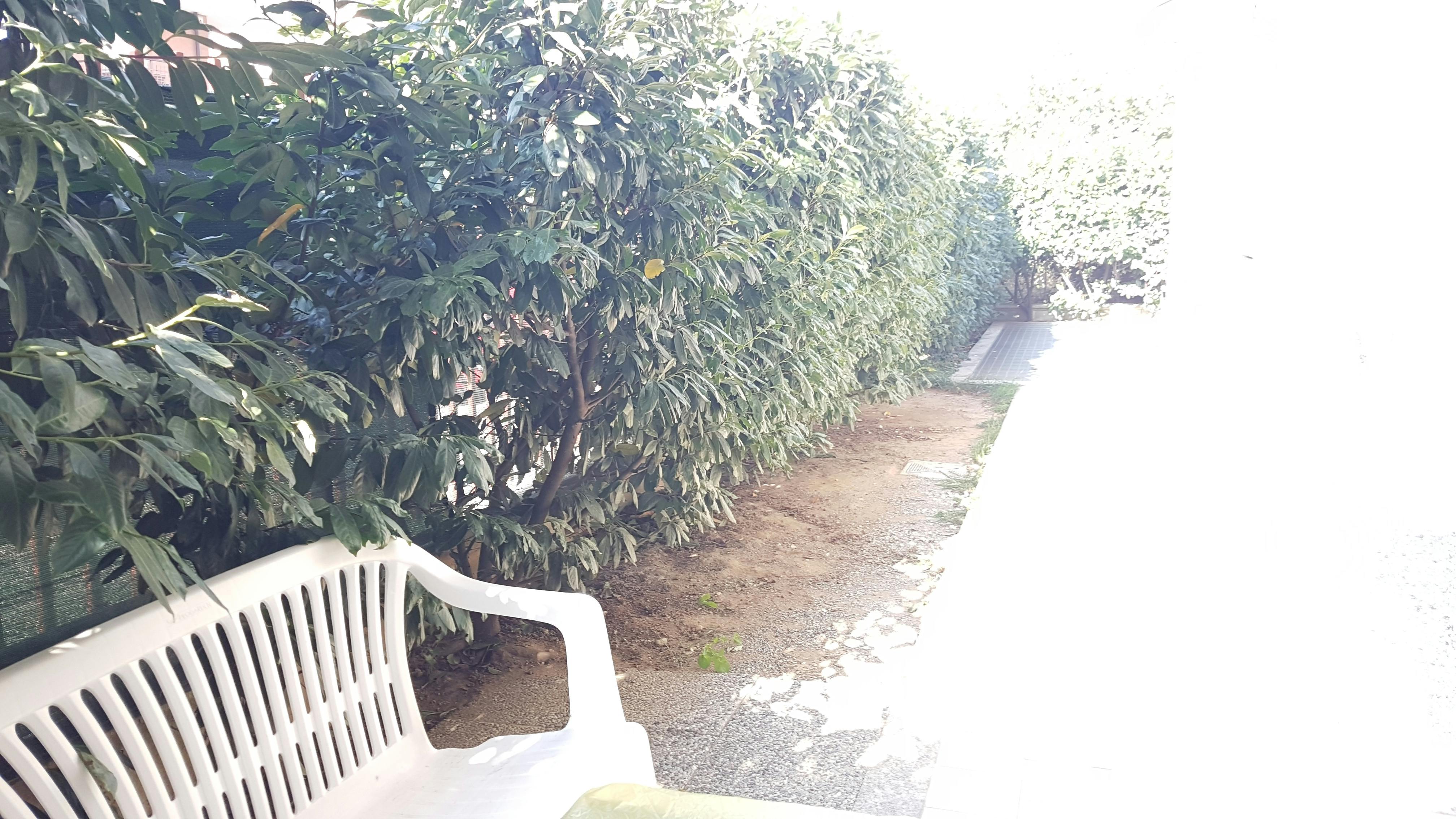 Apartment Turin, 1 bed — photo 8