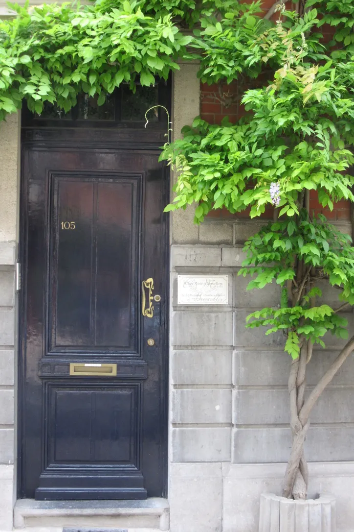1-Bedroom Apartment in Rue des Echevins, Ixelles (1660238) ROOM 1