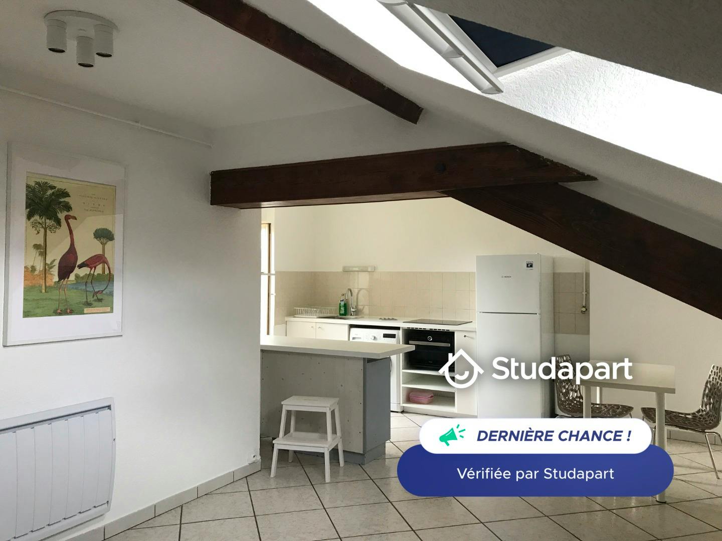 Apartment for rent on Rue de Trion, Lyon