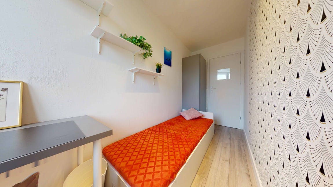 Opinogórska, Warsaw preview