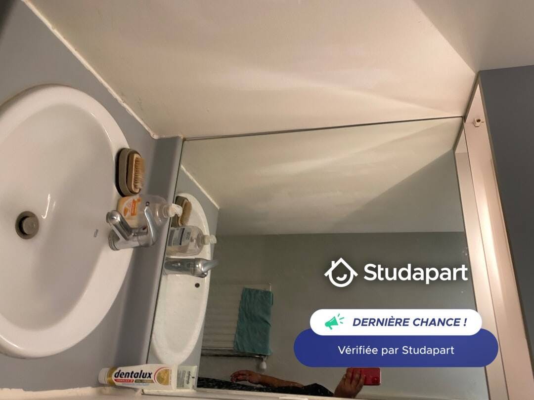 Private room for rent on Rue de la Grande Famille, Lyon - Ansicht 4