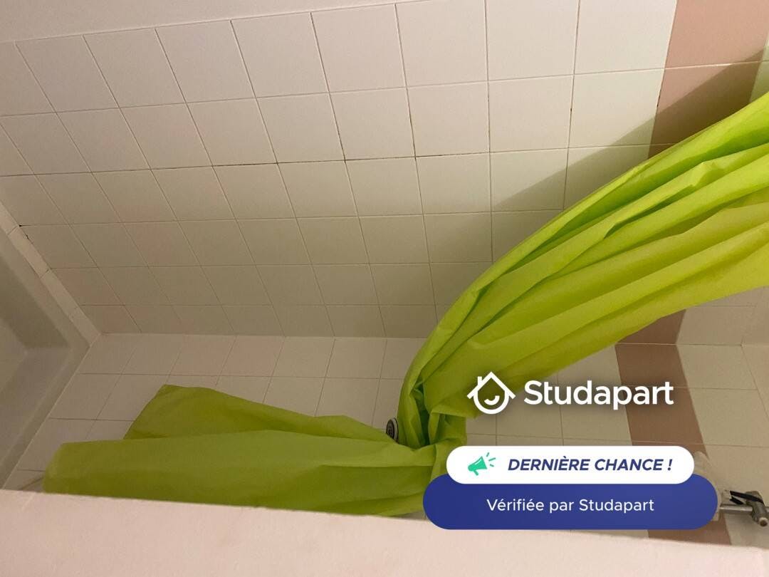 Private room for rent on Rue de la Grande Famille, Lyon - Ansicht 5
