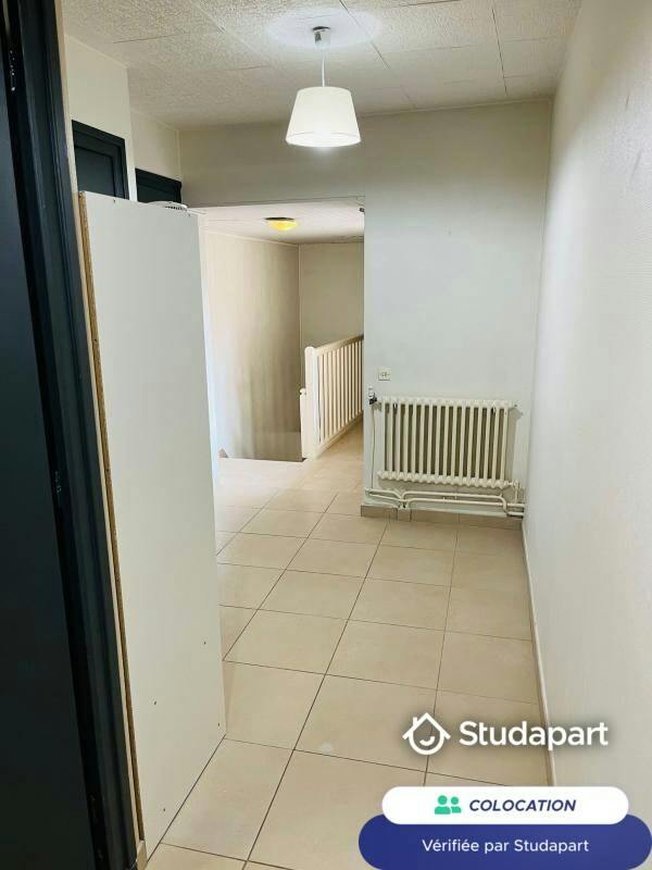 Private room for rent on Rue d'Austerlitz, Lyon - Plus