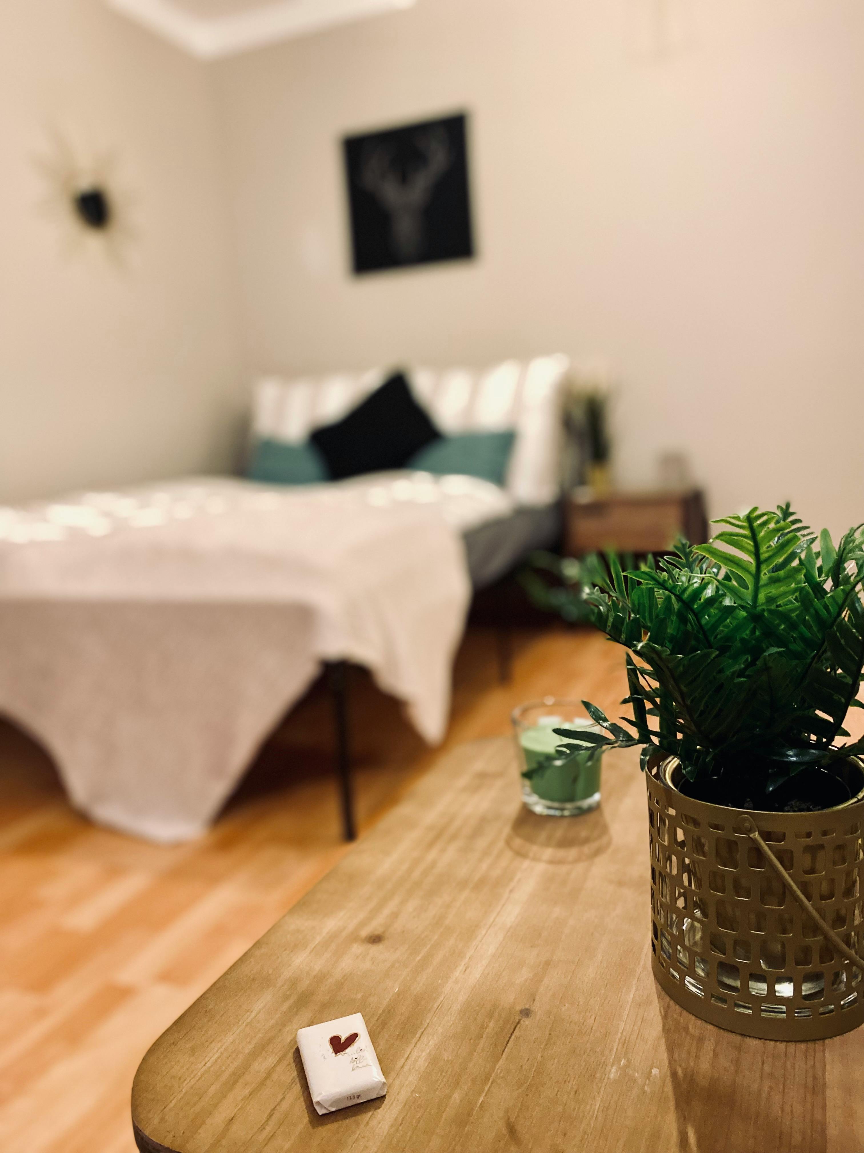 Apartment Erfurt — photo 6