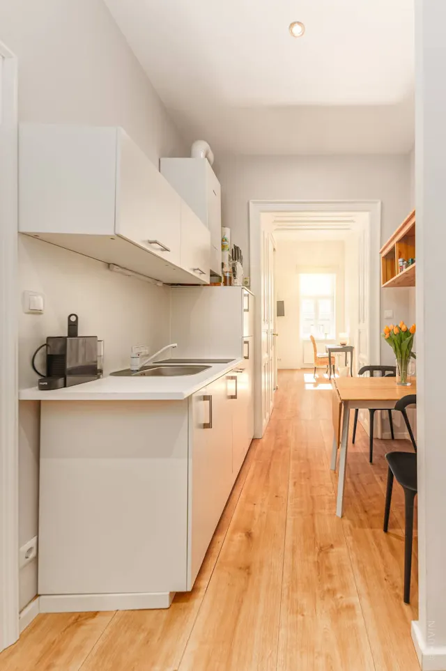 1-Bedroom Apartment in Mosergasse, Vienna (1663184) room image 1