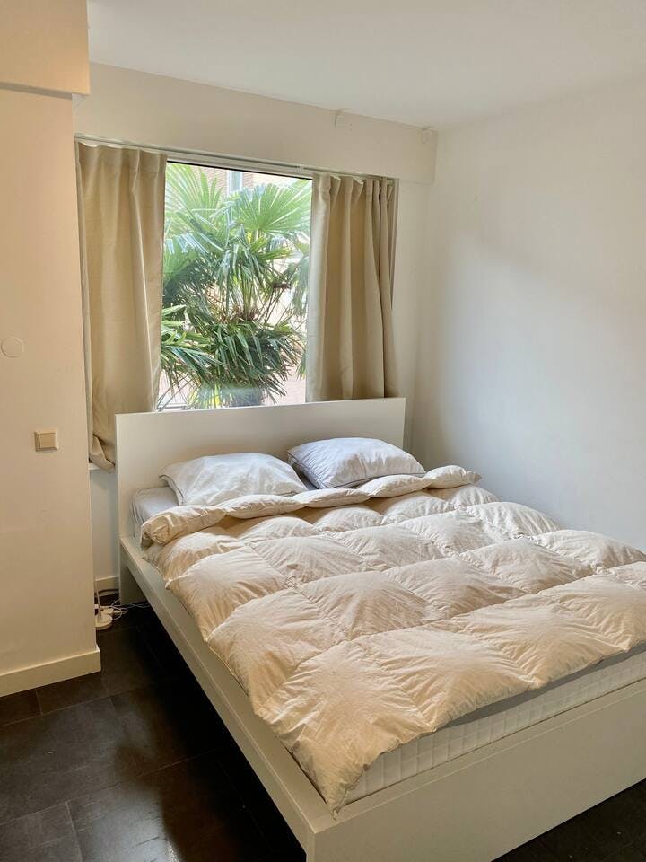 Квартира сдается в аренду за 2 600 € в месяц в Amsterdam, Edward Masseystraat