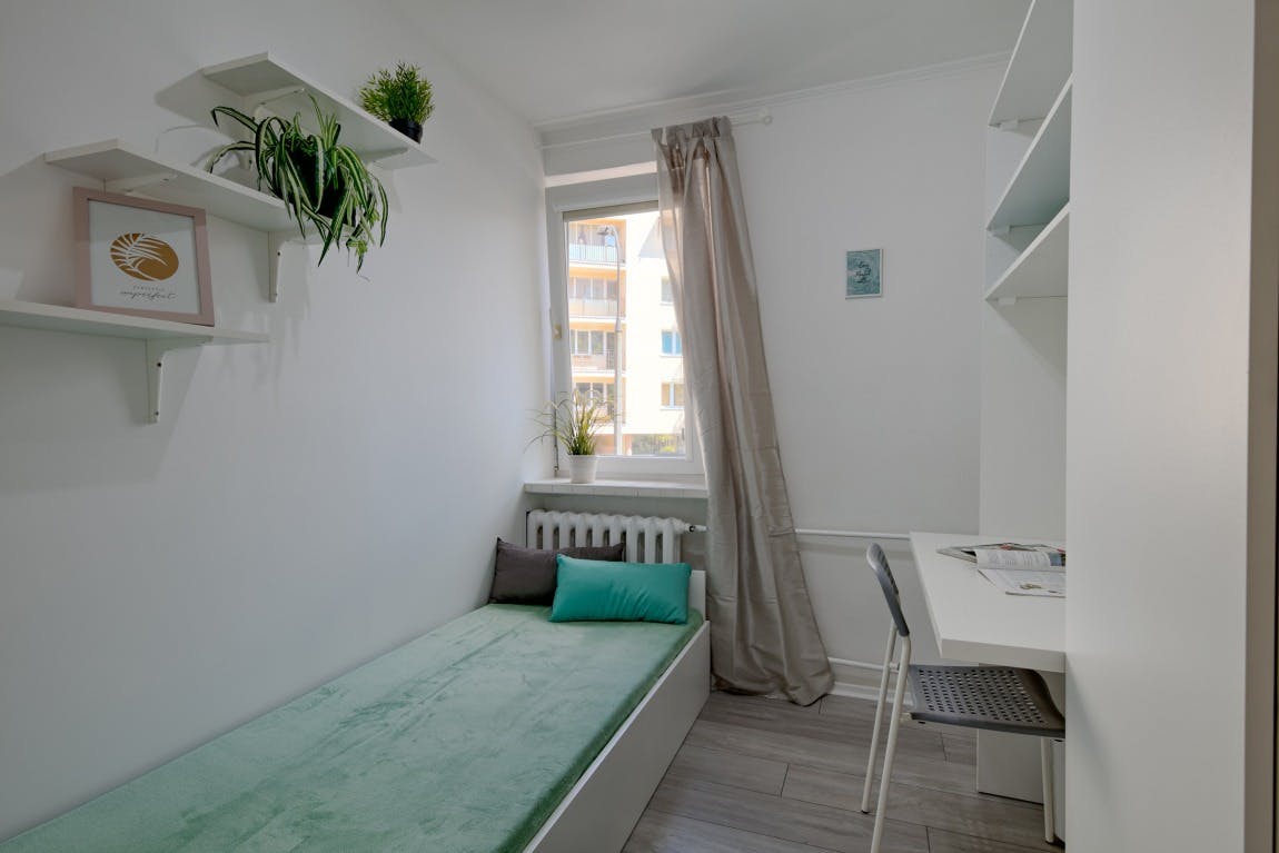 Solec, Warsaw preview