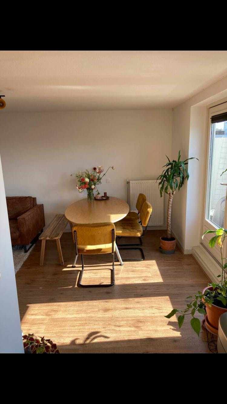 Apartment in Amsterdam