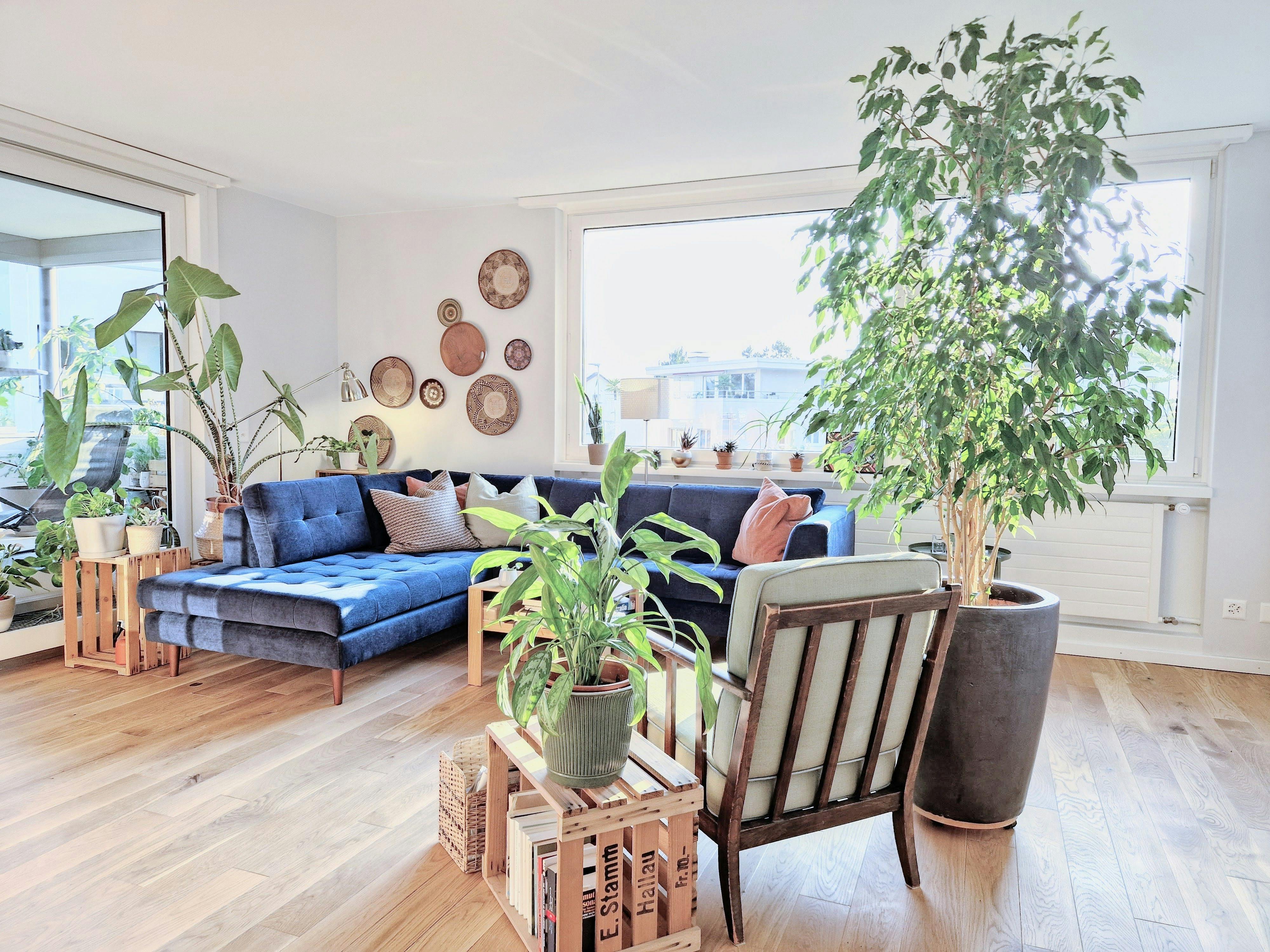 Schmittenackerstrasse, Wallisellen Wallisellen