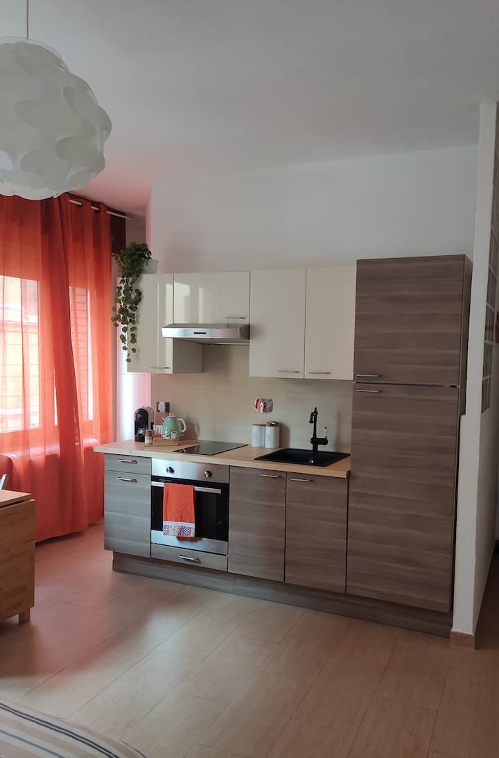 Viale Carlo Berti Pichat, Bologna preview