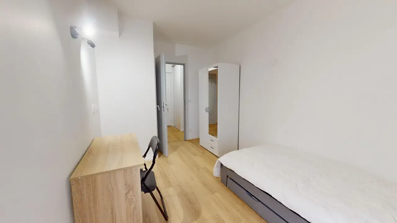 Private room in Rue Henri Rolland, Villeurbanne (1665150) ROOM 1