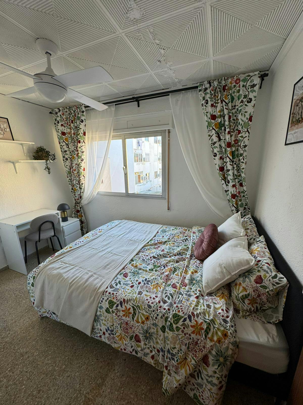 Single room Torrent, 1 bed, 6m² — photo 12