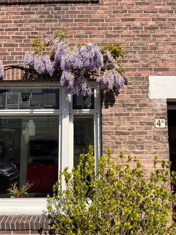Apartment Rotterdam, 1 bed — photo 9