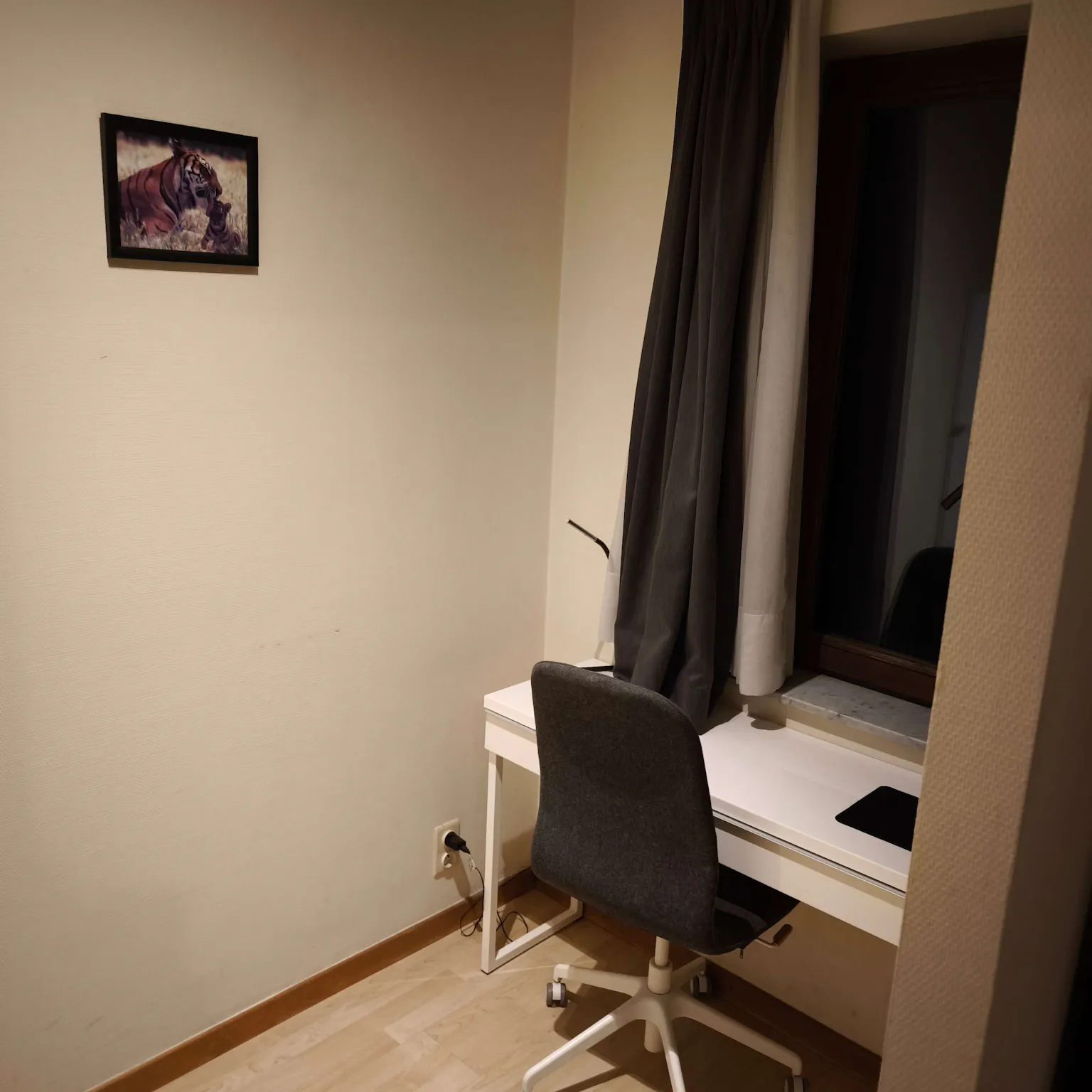 Image #5