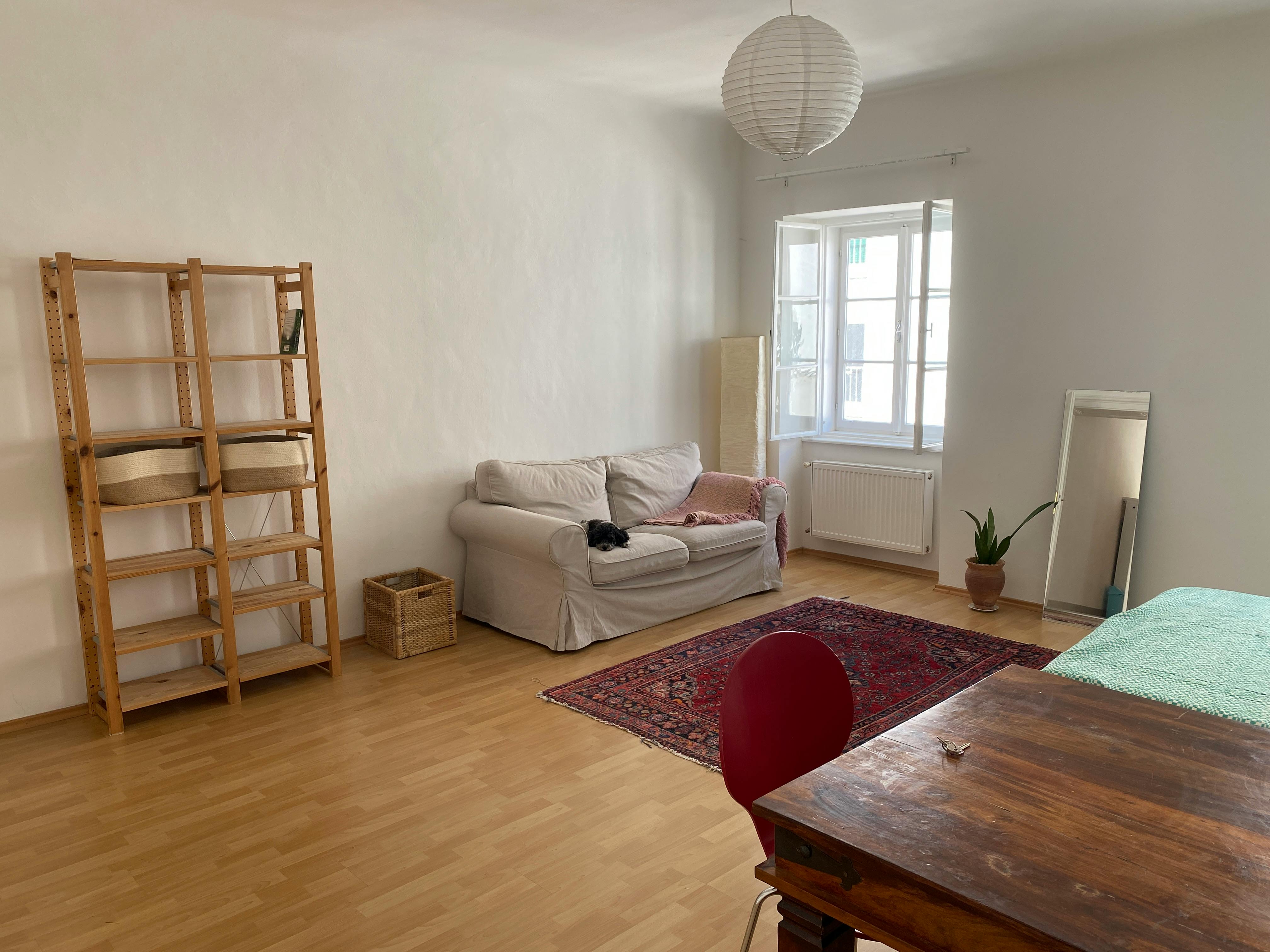 Single room Vienna, 1 bed, 25m² — photo 13