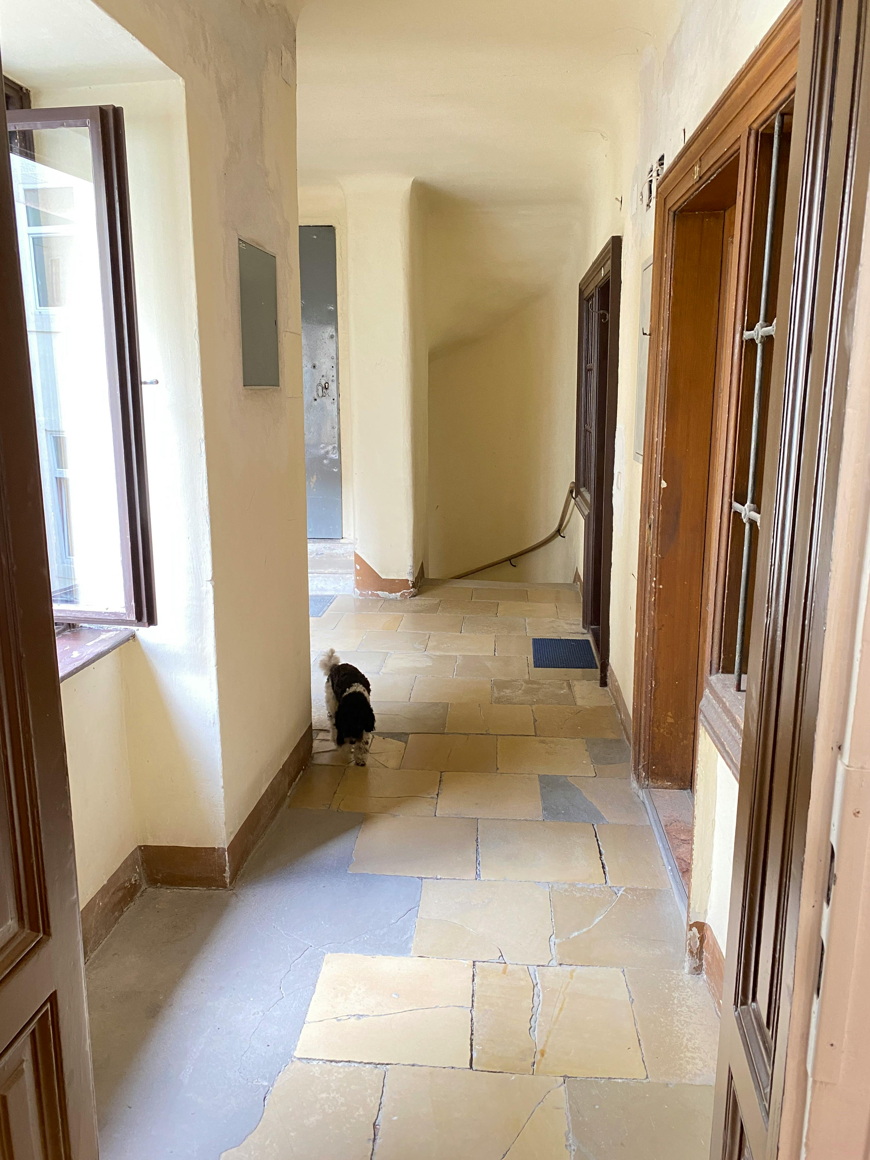 Single room Vienna, 1 bed, 25m² — photo 4
