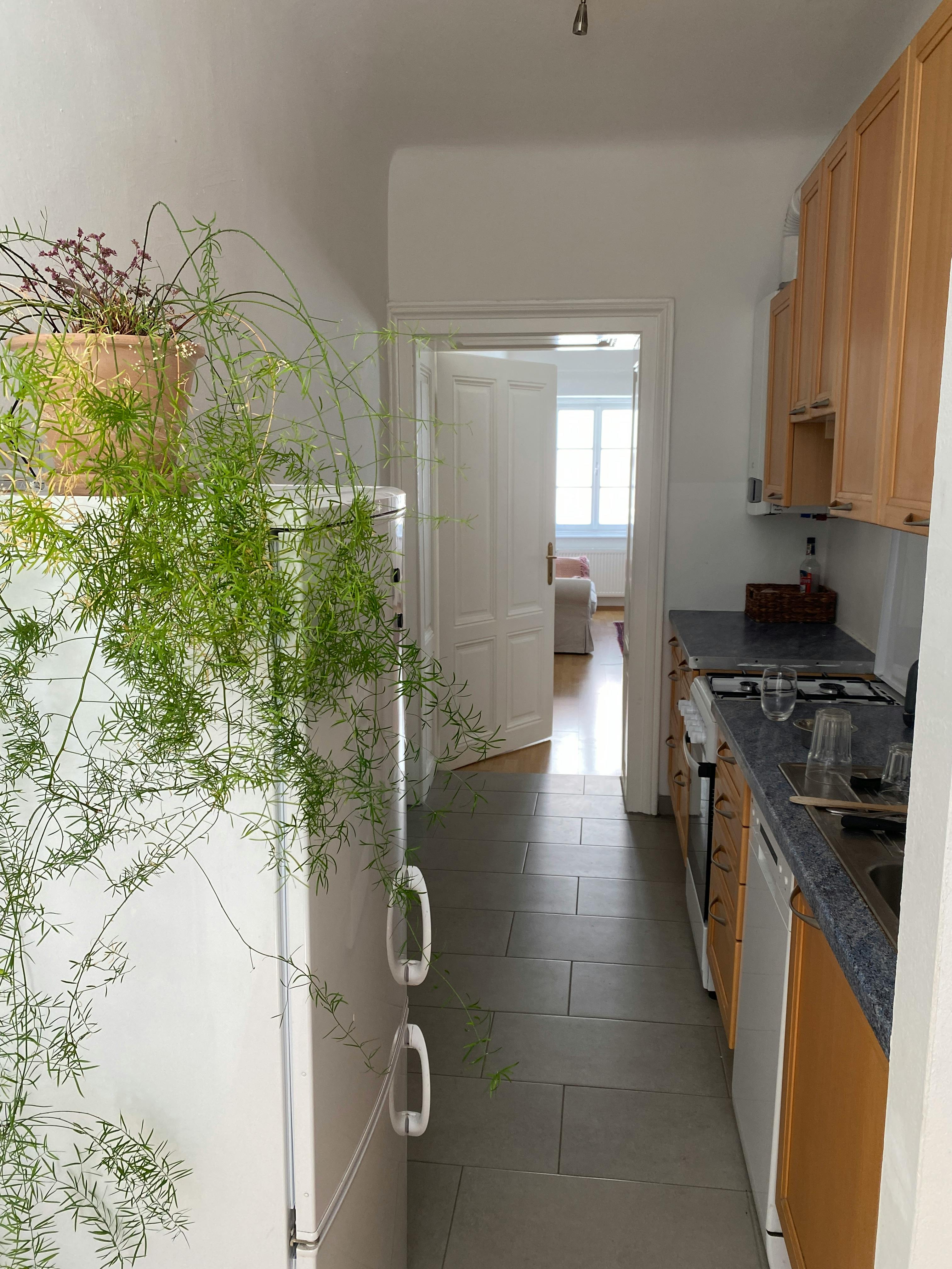 Single room Vienna, 1 bed, 25m² — photo 23