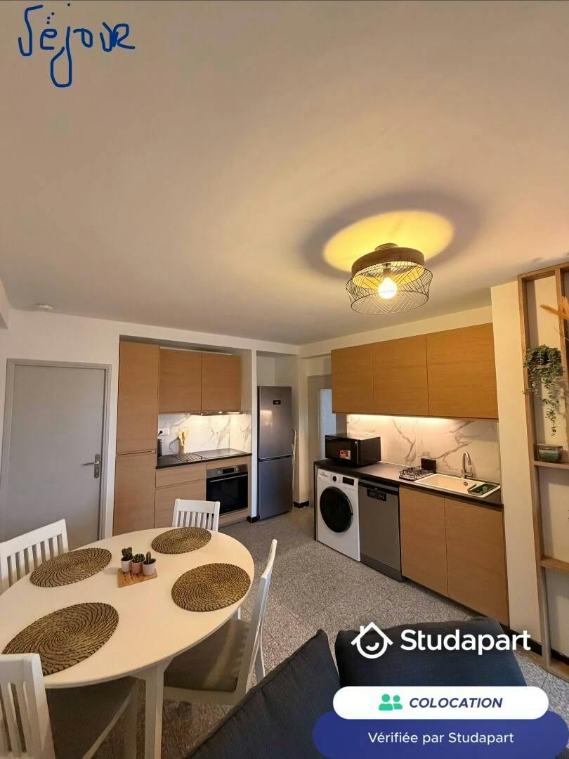 Private room for rent on Avenue du Point du Jour, Lyon - Vue 4