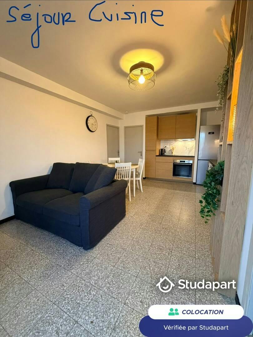 Private room for rent on Avenue du Point du Jour, Lyon - Vue 3