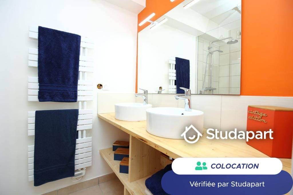Private room for rent on Boulevard Robert Schuman, Nantes – pohled 5