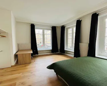 Private room for rent on Rue de Brest, Lyon