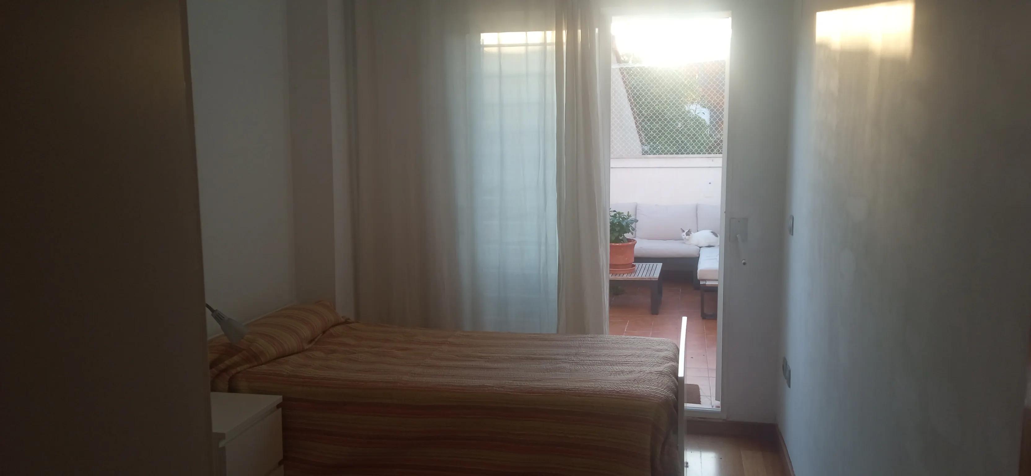 Private room in Carrer dels Soguers, Valencia (1667715) ROOM 1