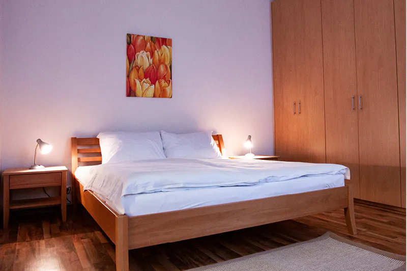 1-Bedroom Apartment in Rotenhofgasse, Vienna (1668314) ROOM 2