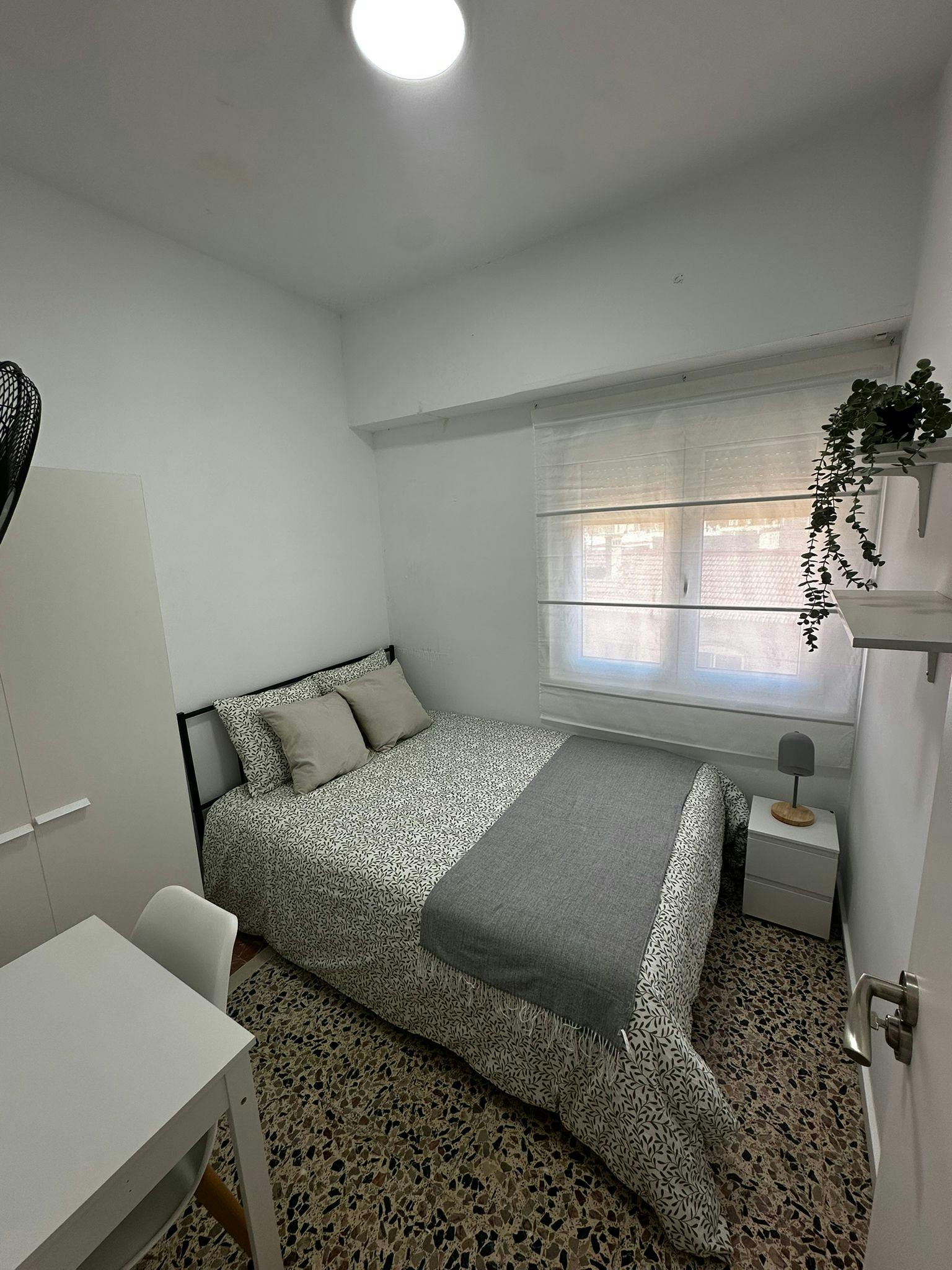 Calle de Miguel Jiménez Reyes, Alicante (Alacant) preview