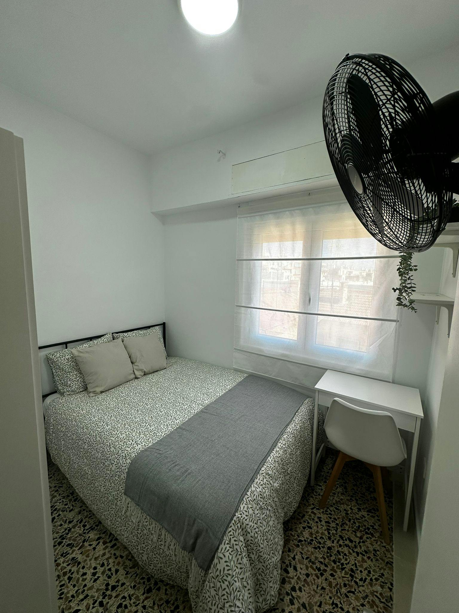 Calle de Miguel Jiménez Reyes, Alicante (Alacant) preview