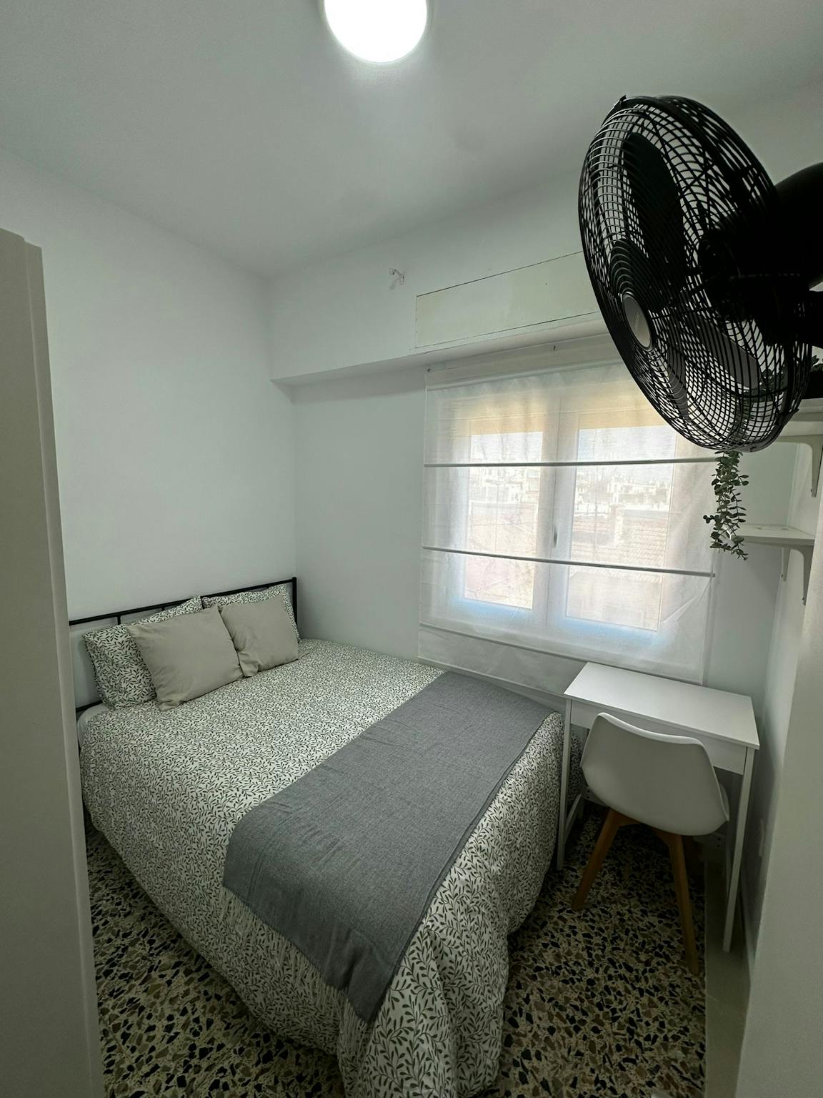 Calle de Miguel Jiménez Reyes, Alicante (Alacant) preview