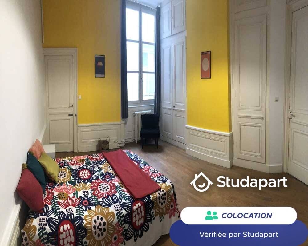Private room for rent on Quai de la Pêcherie, Lyon - Widok 4