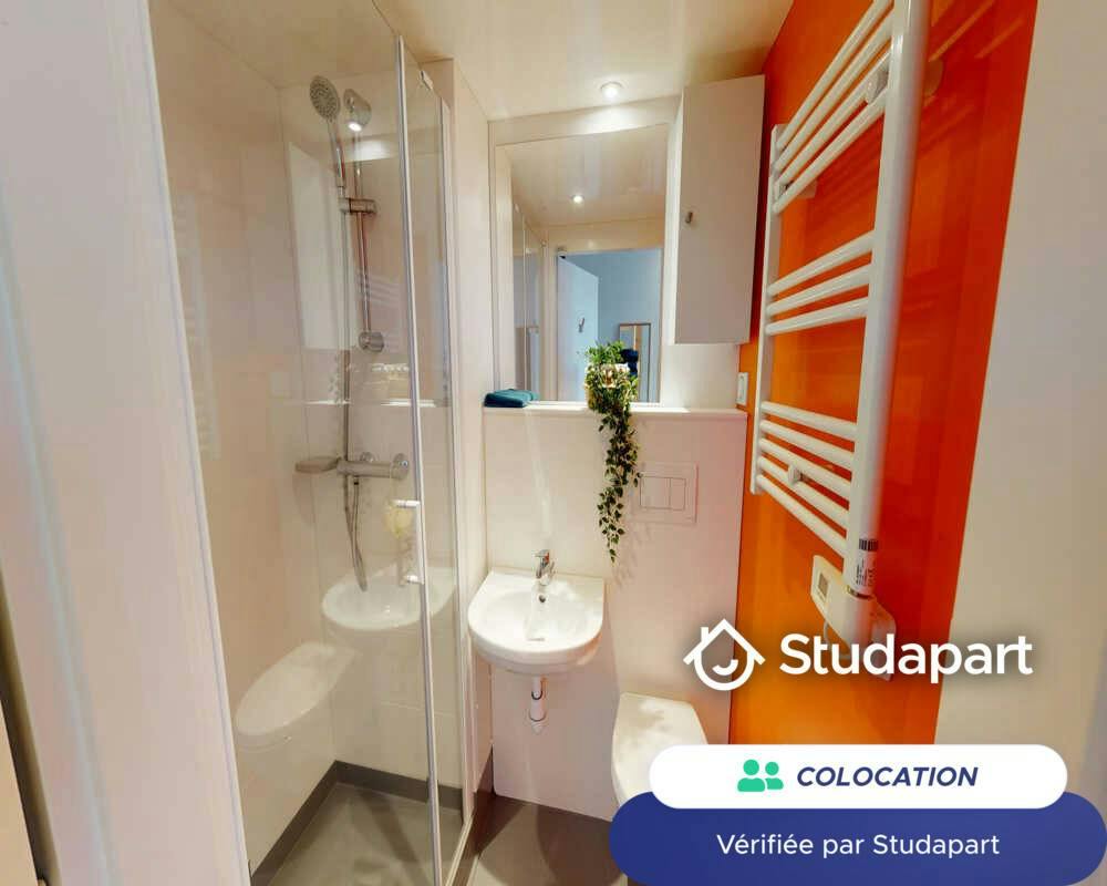Private room for rent on Rue Bellegarde, Toulouse - Vue 5