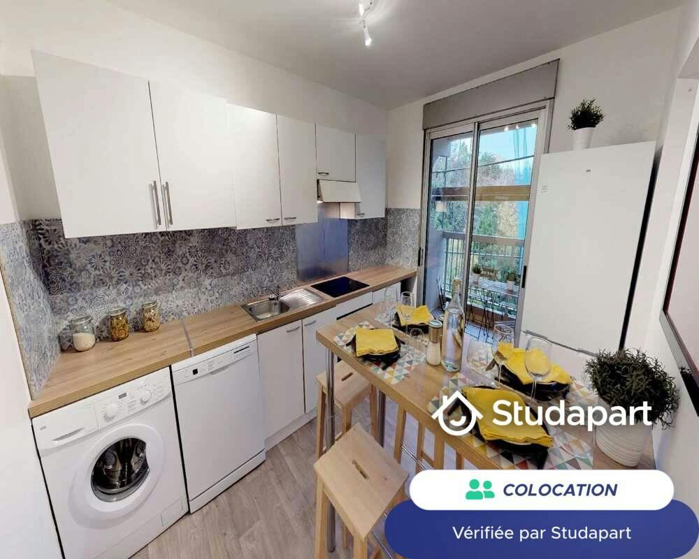 Private room for rent on Rue du Bourbonnais, Lyon - Plus