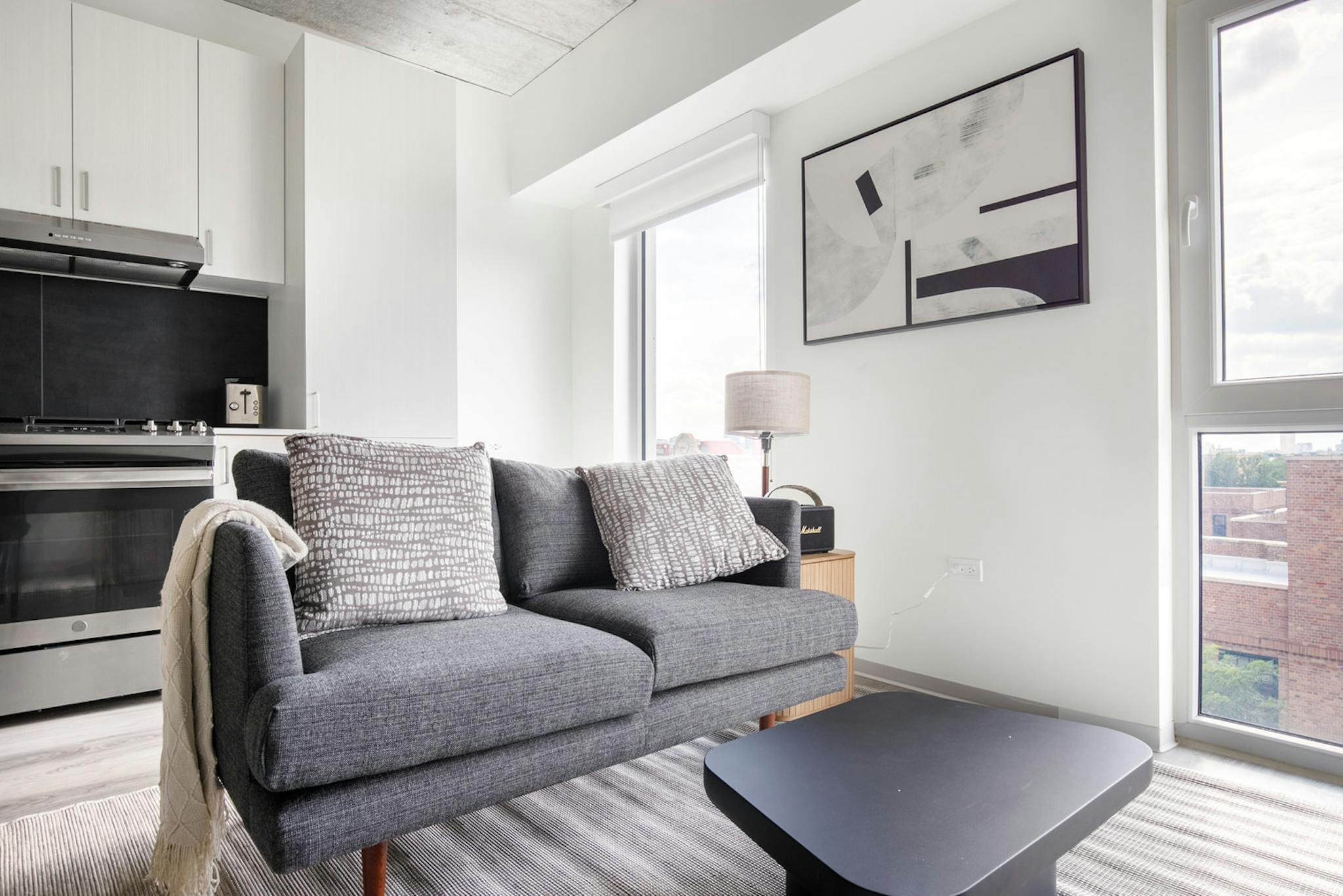 West Schiller Street, Chicago, IL preview