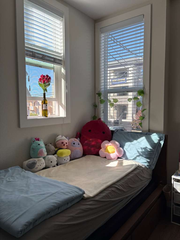 Chambre partagée à louer pour $1,220/mois à Berkeley, Channing Way
