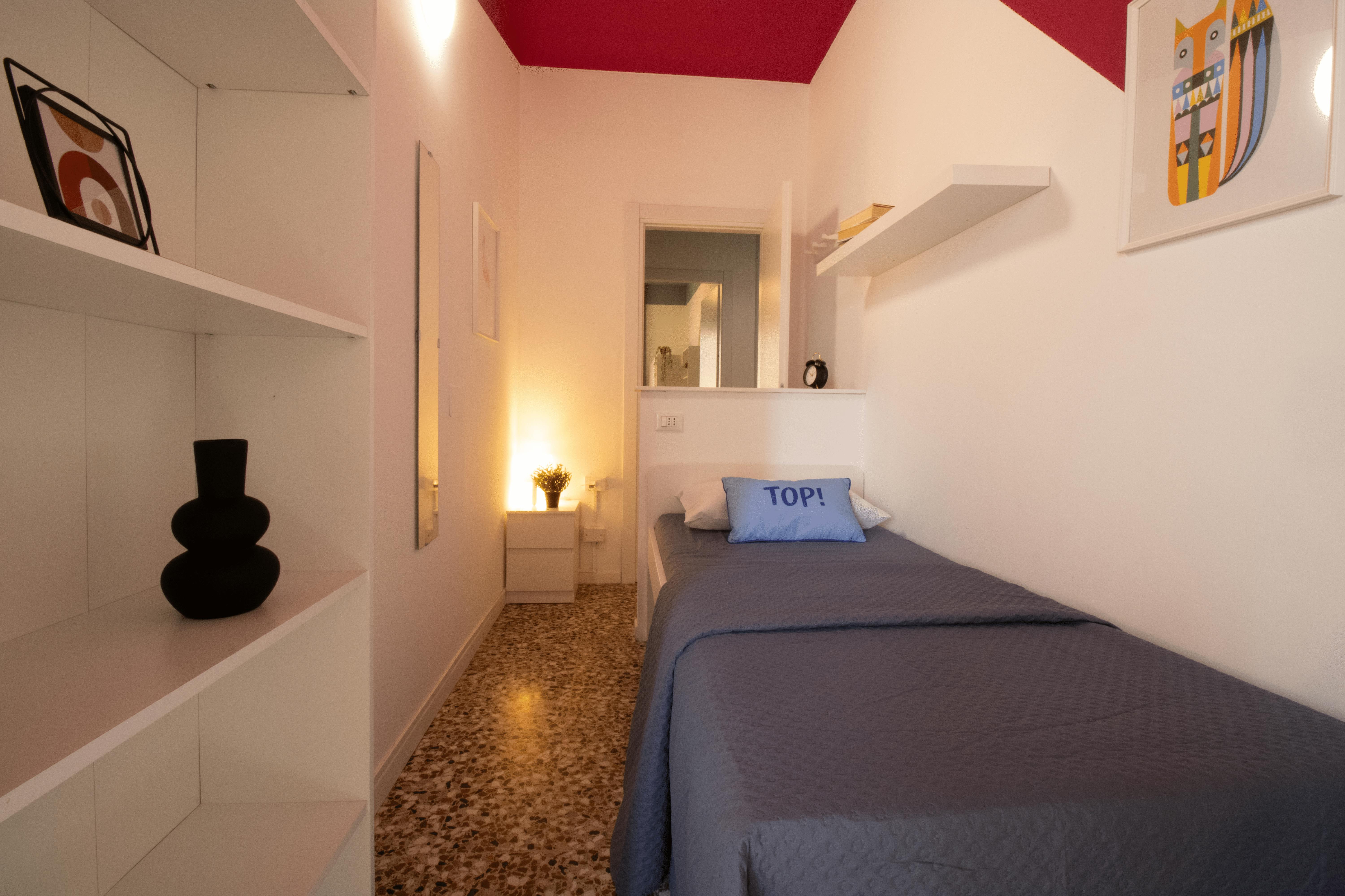 Via Contardo Ferrini, Pavia preview