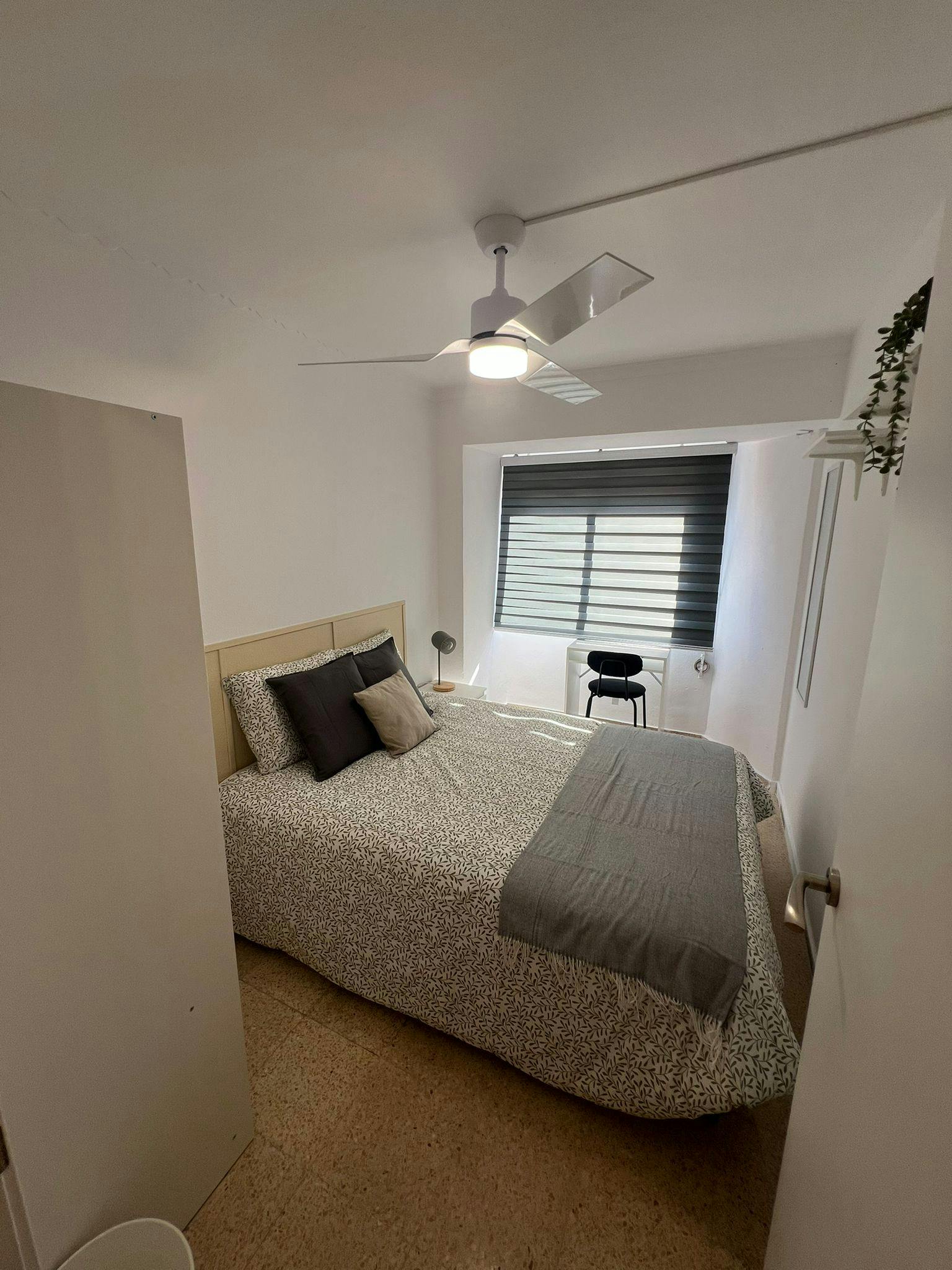 Single room Alicante (Alacant), 1 bed, 6m² — photo 1