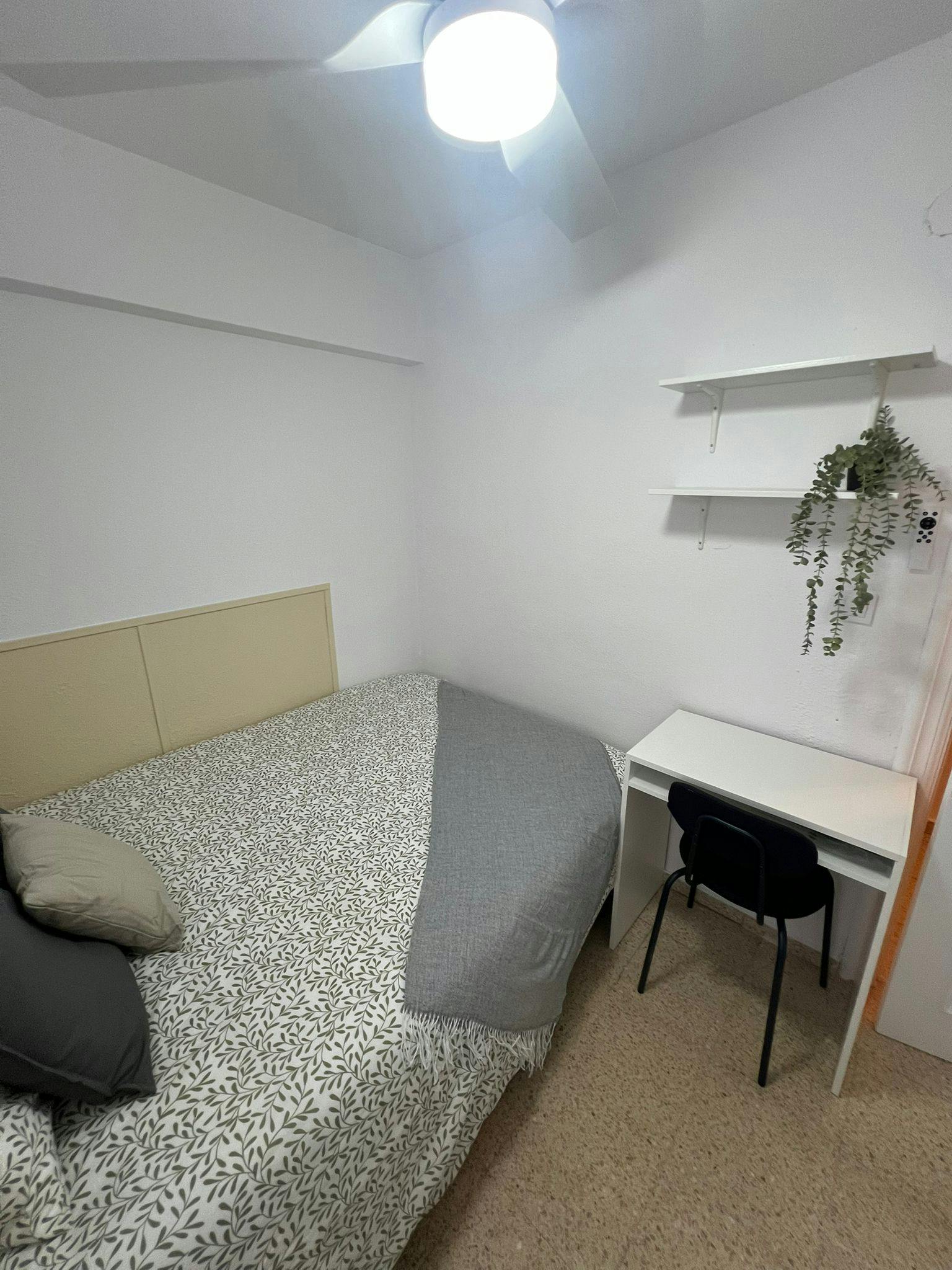 Single room Alicante (Alacant), 1 bed, 6m² — photo 4