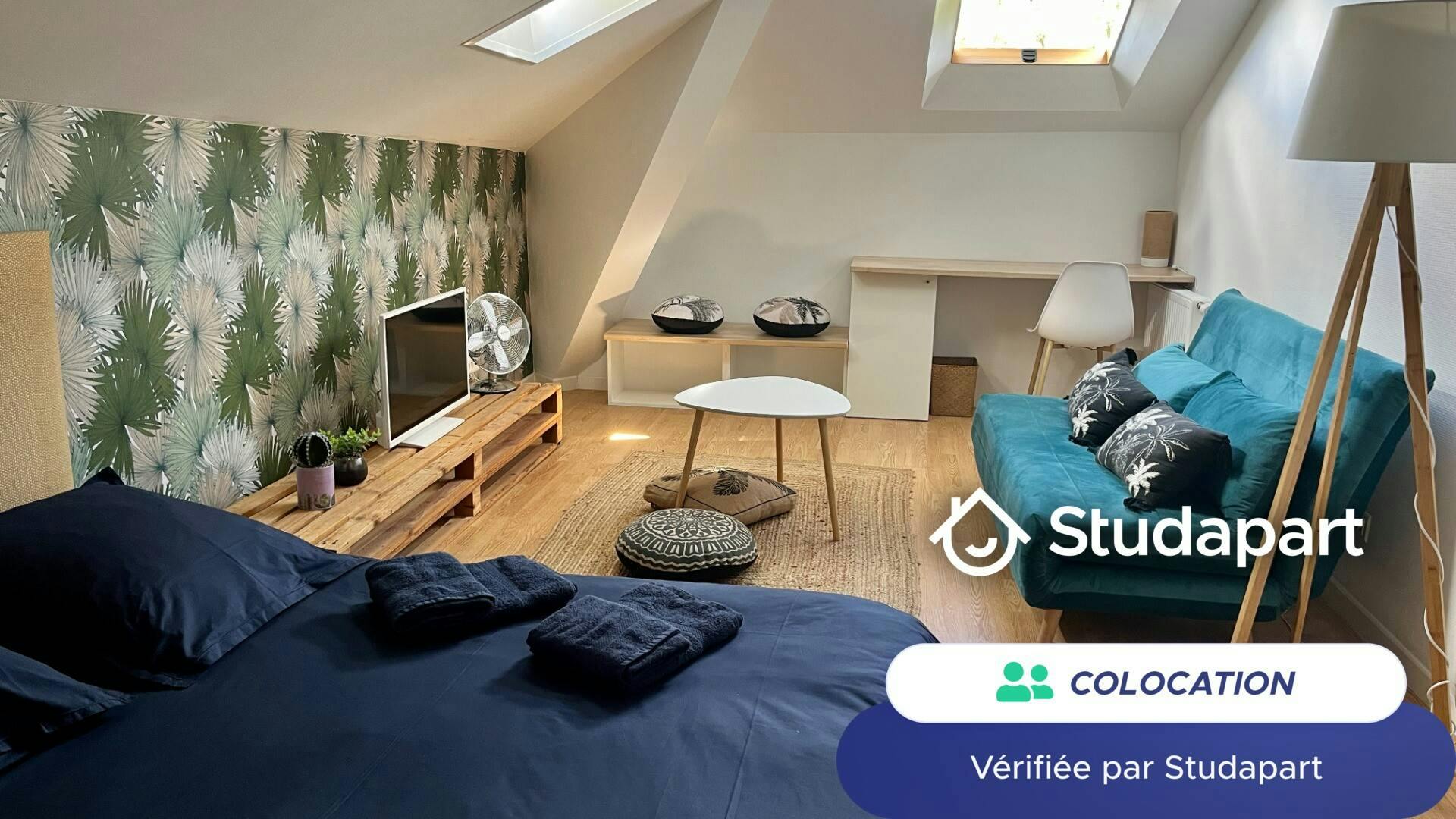 WG-Zimmer zu mieten für 466 € pro Monat in Cholet, Rue Jean-Baptiste Kléber